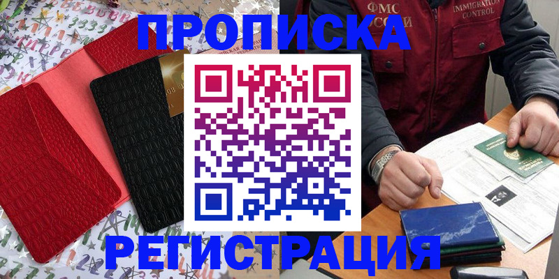 прописка штамп в Лузе